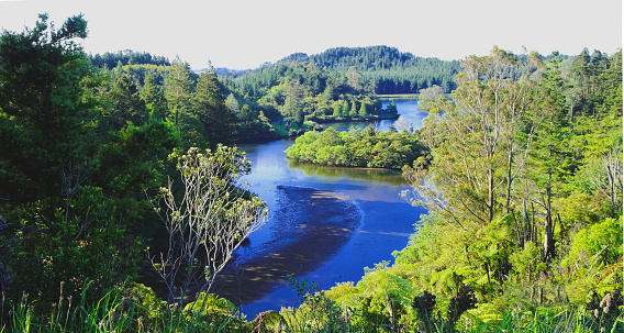 Nature reserve near Plymouth on the North Island of New Zealand, create vegetation, in the middle a blue small lake