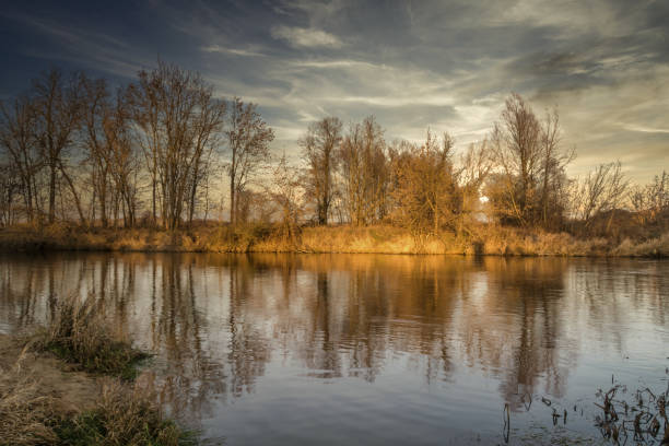 istock The wild Grabia River in central Poland. 1295670243