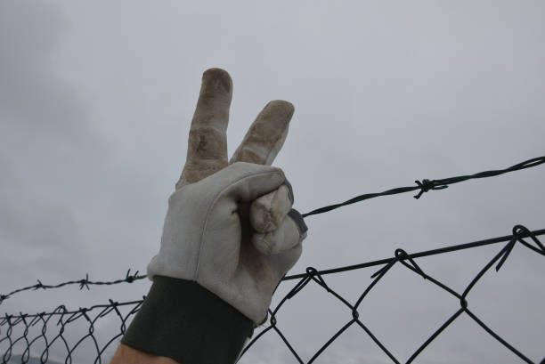 istock protesting man in gray tactical gloves overcome a barbed wire fence and get behind a wire fence. showing fingers on hand a sign of victory. tear down to damage the prison fence, border line, mountain 1295670306