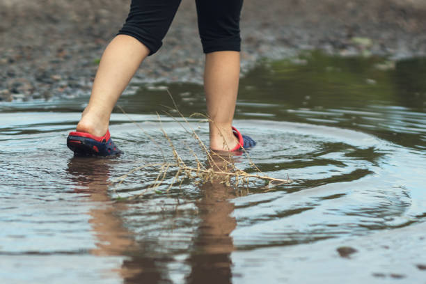 istock Children's feet walking in a muddy puddle after the rain 1295671288