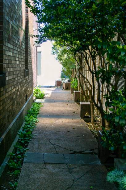istock The secret street 1295672571