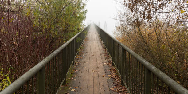 istock View along a wooden jetty 1295674095