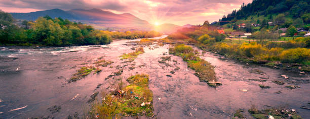 istock garbage in the Carpathians, Ukraine. 1295675073