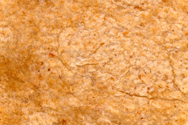 Macro of wheat flour tortilla pancake, background and texture.