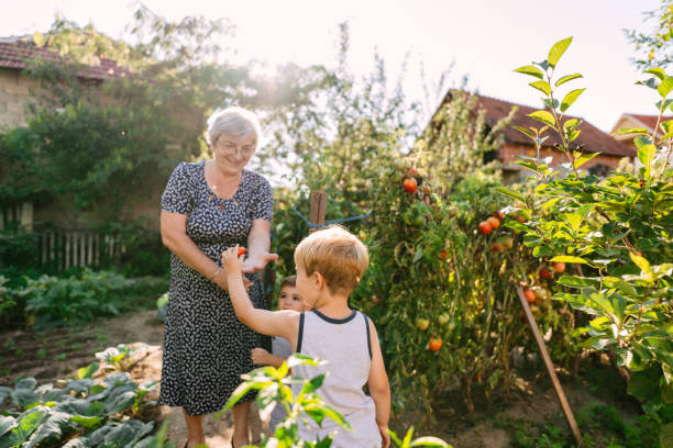 istock Picking vegetables in our grandma's garden 1295681278