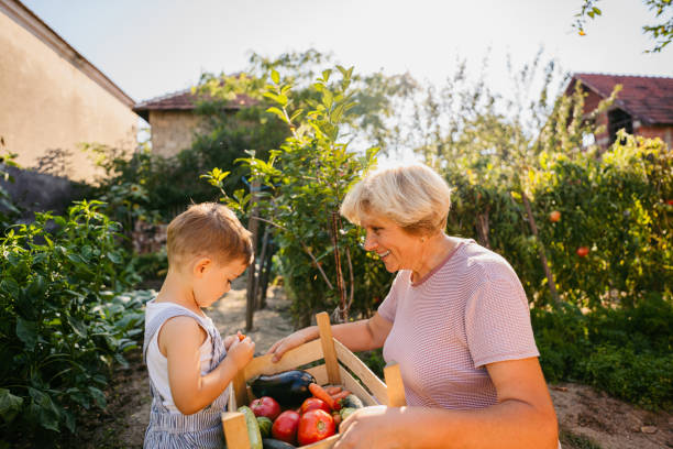 istock Picking vegetables with my grandmom 1295681360