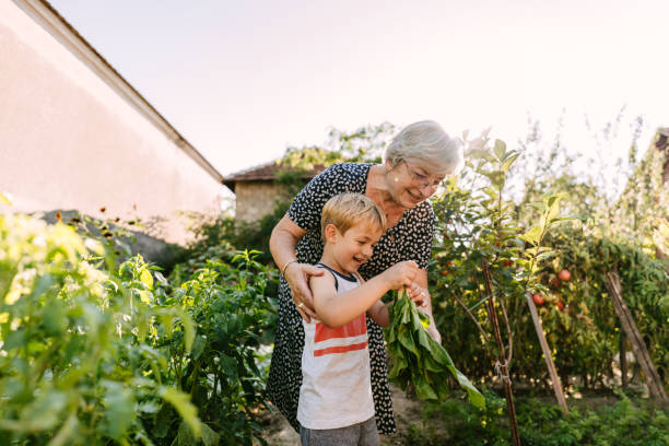 istock Picking vegetables with my grandmom 1295681382
