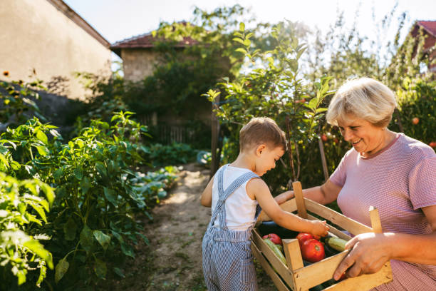 istock Picking vegetables with my grandmom 1295681398