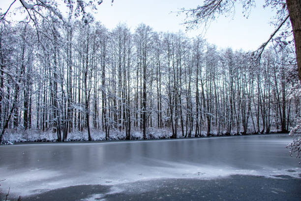 istock frozen pond in the forest covered in snow in Germany 1295681551