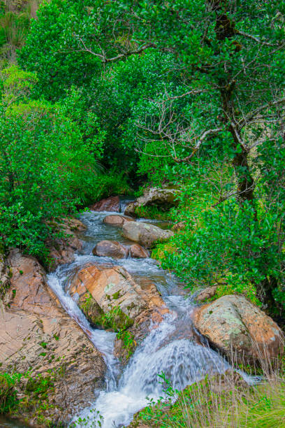 istock beautiful river with big rocks 1295682691
