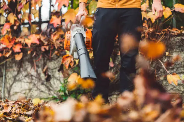 Photo of Low angle view of swirling leaves and a male holding a leaf blower