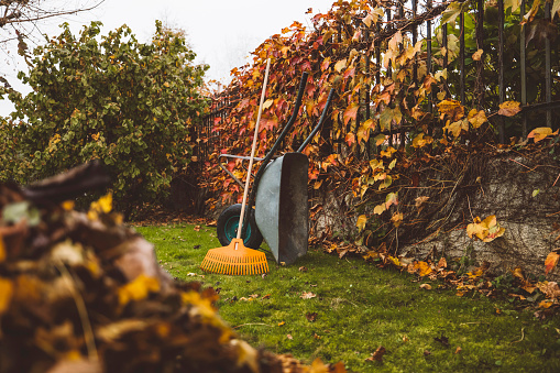No people: cleaning lawn from leaves with various tools: leaf blower, rake and wheelbarrow. Nature in autumn, chores around the house.