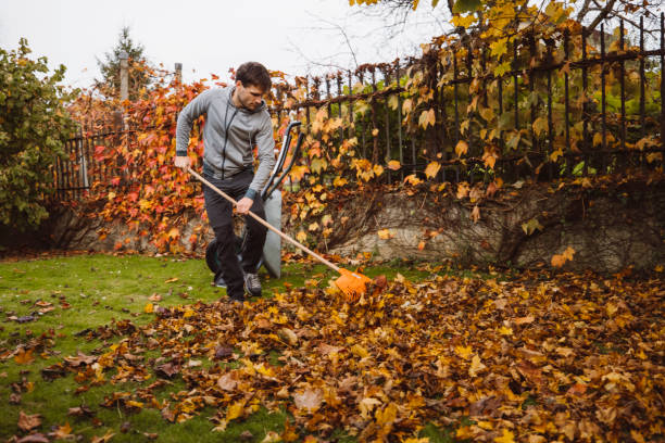 istock I like cleaning up around the house 1295683968