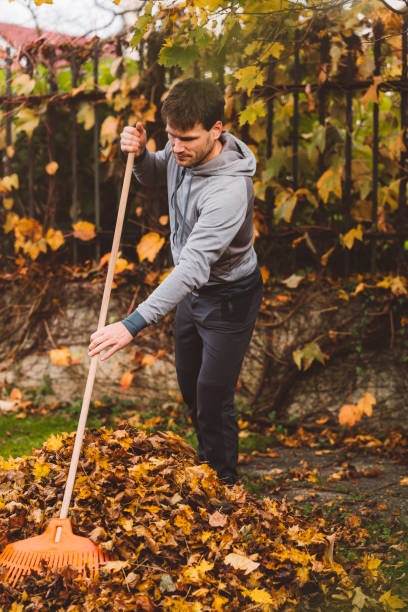 istock Young male raking leaves 1295683973