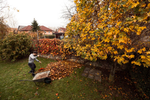 istock Man collecting fallen autumn leaves in the yard 1295683975