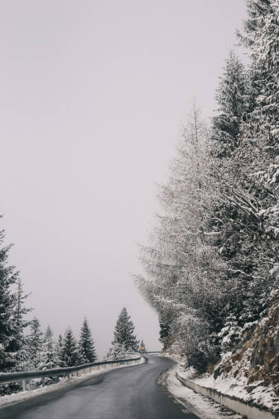 istock Winter in the mountain forest with fog 1295686076