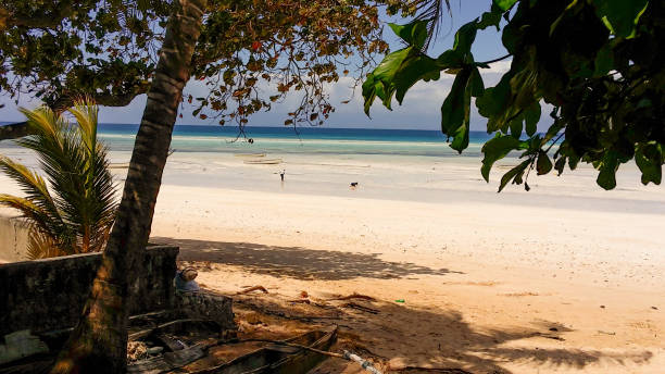 istock View of a beautiful sandy beach with trees 1295686243