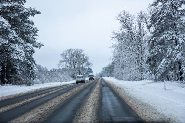 istock Country road after snowfall in Lithuania 1295688157