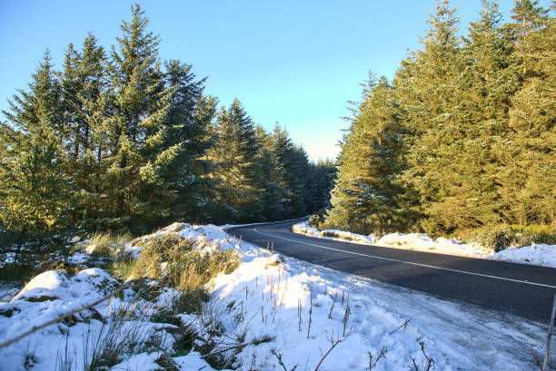 Beautiful view of asphalt road in the winter forest at Dublin Panoramic View Point, Killakee, Co. Dublin, Ireland stock photo