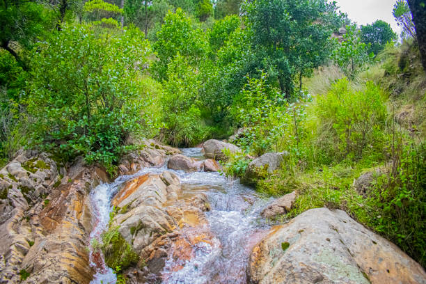 istock big rock with river coming down from the mountains 1295689397