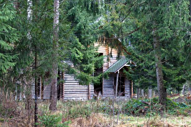 istock village house in countryside 1295691343