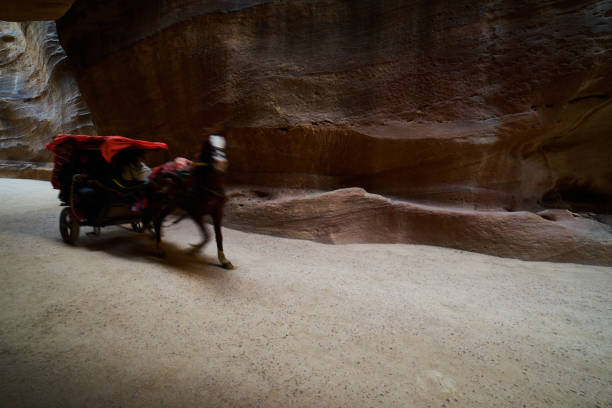 istock horse carriage in Petra 1295691394