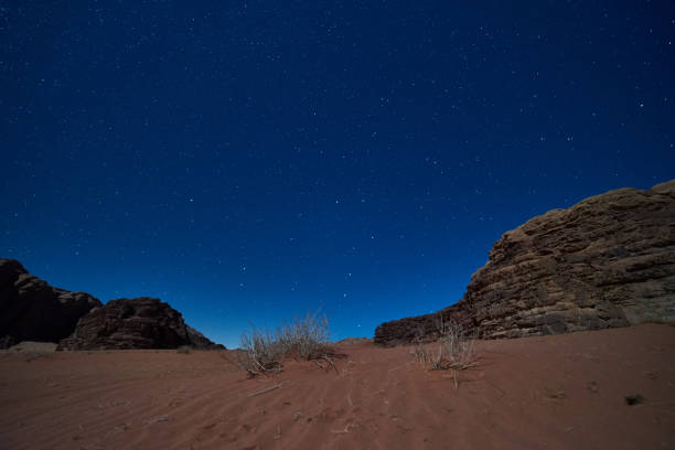 istock plants and rocks at night in Jordan wadi rum desert 1295691567