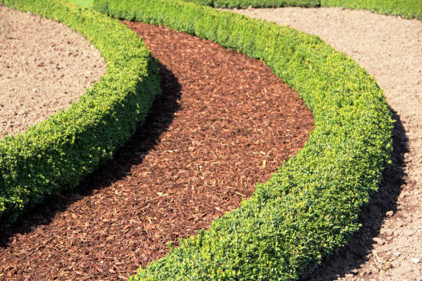 istock Garden design with boxwood hedges 1295692603