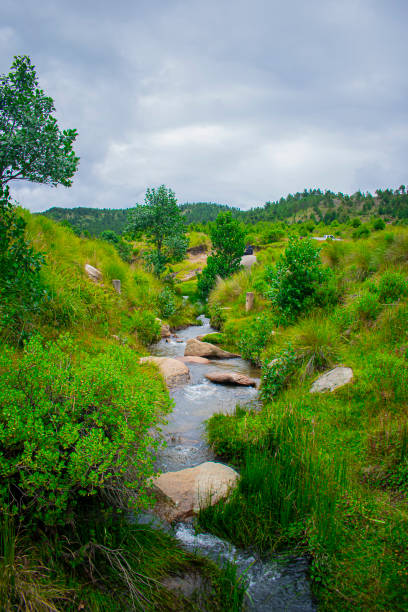 istock beautiful river valley with green grass 1295694656