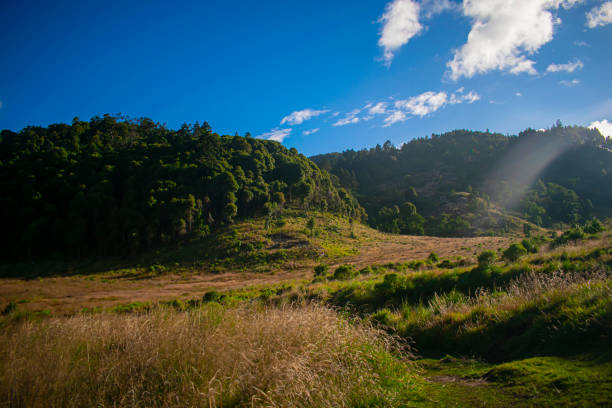 istock sunset landscape with blue sky and countryside 1295694752