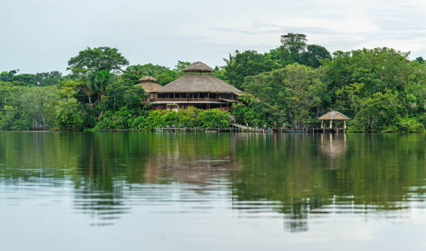 Amazon Rainforest Lodge Reflection of an Amazon rainforest lodge. The Amazon river tributaries comprise the countries of Suriname, Guyana, French Guyana, Venezuela, Colombia, Ecuador, Peru, Bolivia and Brazil. iquitos photos stock pictures, royalty-free photos & images