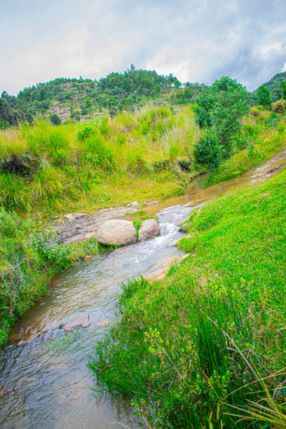istock beautiful river among green grass with clouds in the sky 1295694982