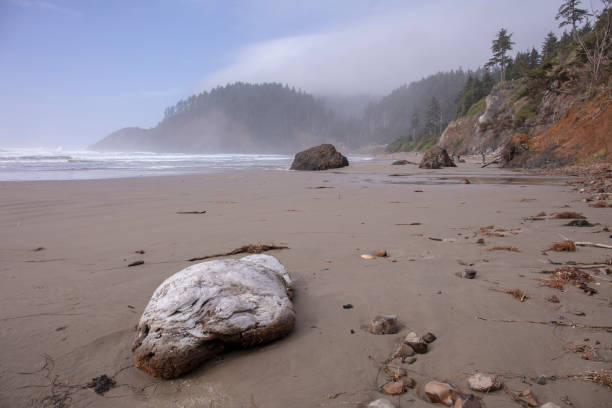 La Push beach in June