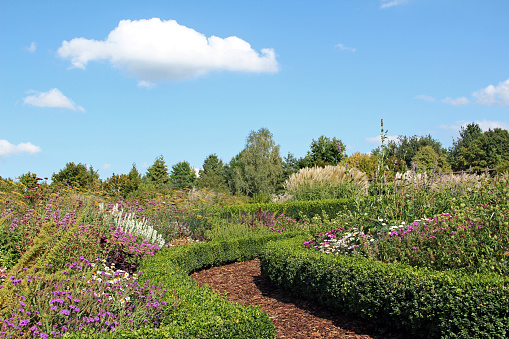Footpath in the herb and flower garden