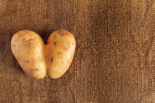 istock Heart shaped potatoes on rustic linen background. Ugly food. 1295700990
