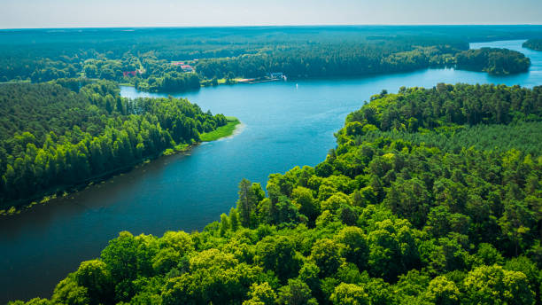 istock Big river between green forests in summer, Poland 1295701243