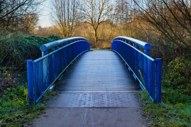 An arched bridge with blue iron railings.