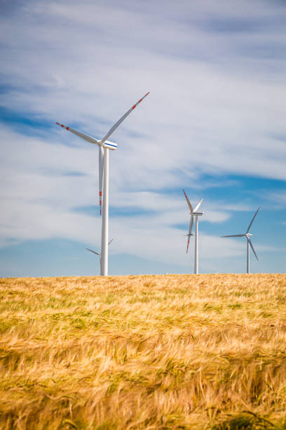 Wind Power in Agricultural Fields: Renewable Energy and Environmental Conservation in Non-Urban Landscapes