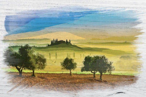 ilustrações de stock, clip art, desenhos animados e ícones de watercolor painting of green valley in tuscany - 4603