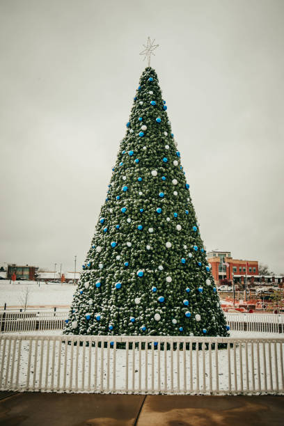 istock Big Christmas Tree in public park 1295713108