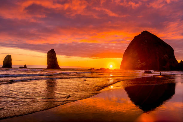 Colorful Sunset Birds Haystack Rock Sea Stacks Canon Beach Clatsap County Oregon.  Originally discovered by Clark of Lewis Clark in 1805