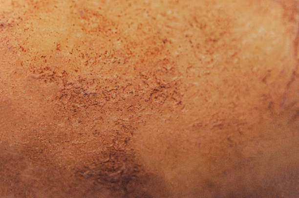 skóra ziemniaczana - potato skin zdjęcia i obrazy z banku zdjęć