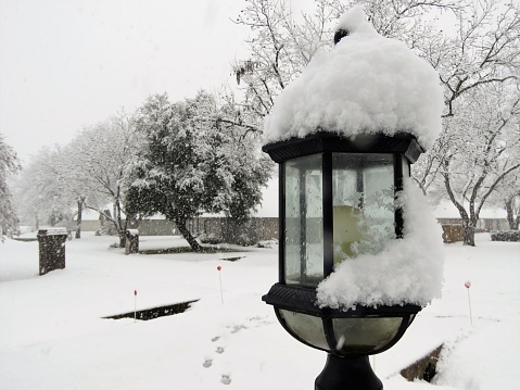Outdoor light with snow on lamp in Texas on January 2021. Tree background.