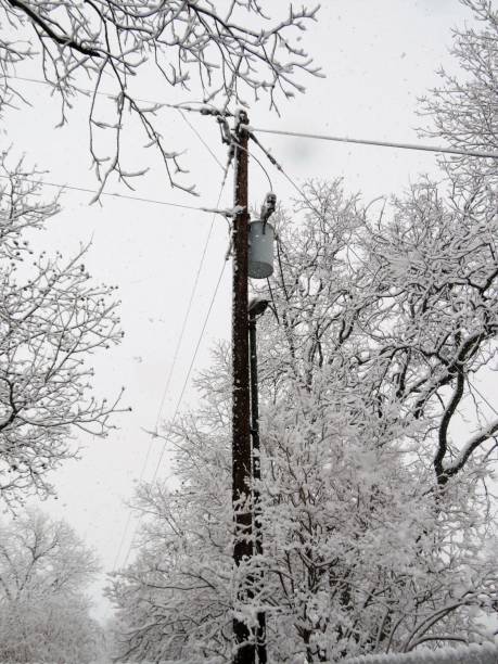 Power Line Generator Snow in Texas A power line and generator beside snow-covered trees in Texas on January 2021. christine kohler stock pictures, royalty-free photos & images
