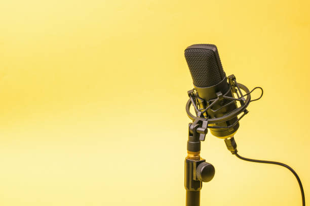 istock Wired condenser microphone on a stand on a yellow background. 1295717796