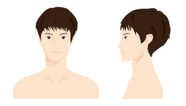 男性の上半身 3_2 - fashionable the human body short hair human head点のイラスト素材／クリップアート素材／マンガ素材／アイコン素材