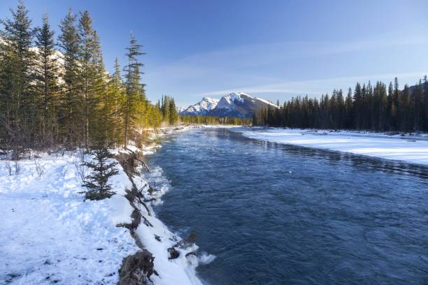Bow River and Pigeon Mountain Peak near Canmore, Alberta, Canadian Rockies Snowy Banks of Bow River and Distant Rocky Mountain Peak Landscape on a cold winter day in Canmore, Alberta near Banff National Park kananaskis country stock pictures, royalty-free photos & images