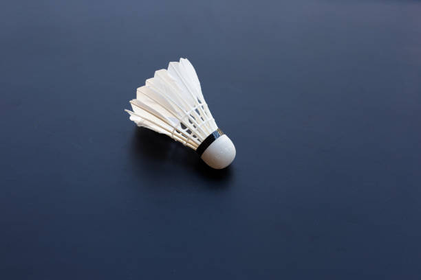 istock Shuttlecock or badminton ball on dark background. 1295728263