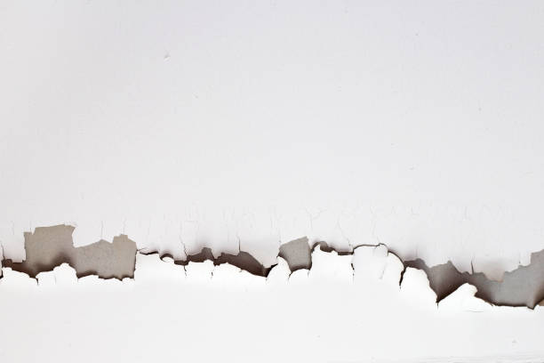 istock White color paint peeling off on ceiling house. Under the roof 1295728383