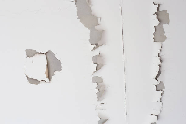 istock White color paint peeling off on ceiling house. Under the roof 1295729100